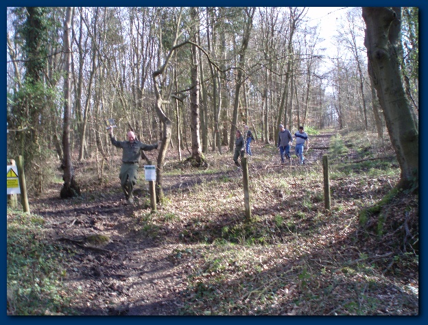 600x449 pixels (209K)